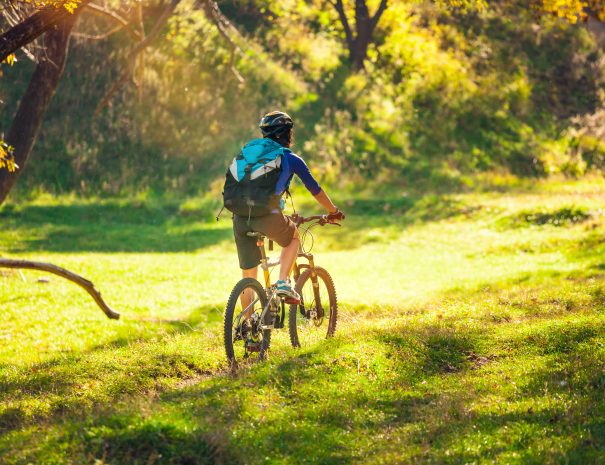 Biking in the forest. Girl rides a bike on a forest trail. Woman riding her bike in the park. Bicycle touring. Travel to scenic places. Autumn trees.